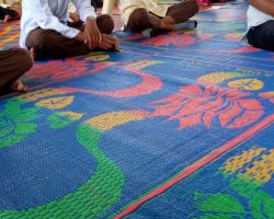 ma-plusalfaseni.sch (17)