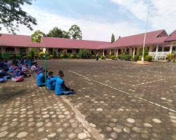 ma-plusalfaseni.sch (18)