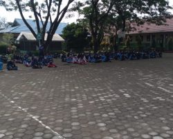 ma-plusalfaseni.sch (20)