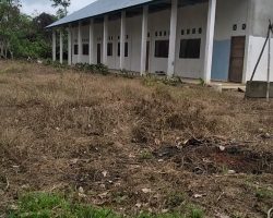 ma-plusalfaseni.sch (25)